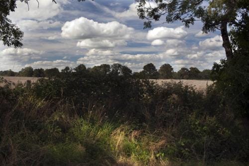 Un paysage clair obscur Dans la Creuse en France
