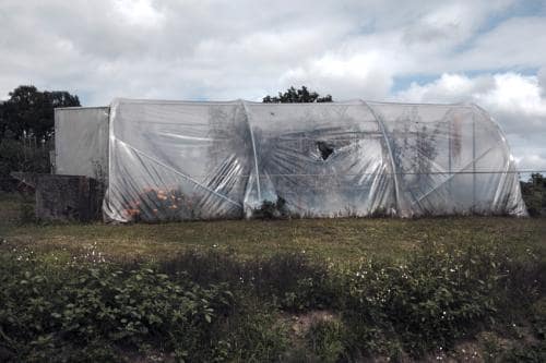 Une serre aevc une déchirure en forme d'ouverture sous un ciel contrasté, Dans la Creuse en France