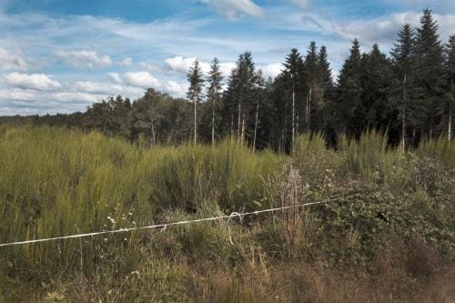 philippe mailleux, la creuse, la métive