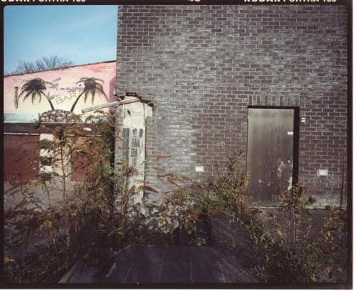 Le bar Tropical abandonnéeà Bruxelles le long du canal, vieille déco peinte de palmier, une porte en fer dérobée aevc la nature qui reprend ses droits,  photographie argentique moyen format Plauble W67